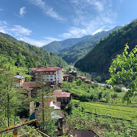 Koloni Apart Aparthotel Çamlıhemşin Esterno foto